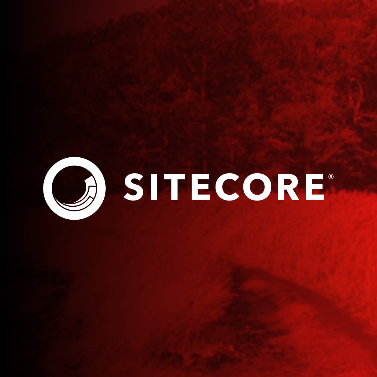 Sitecore